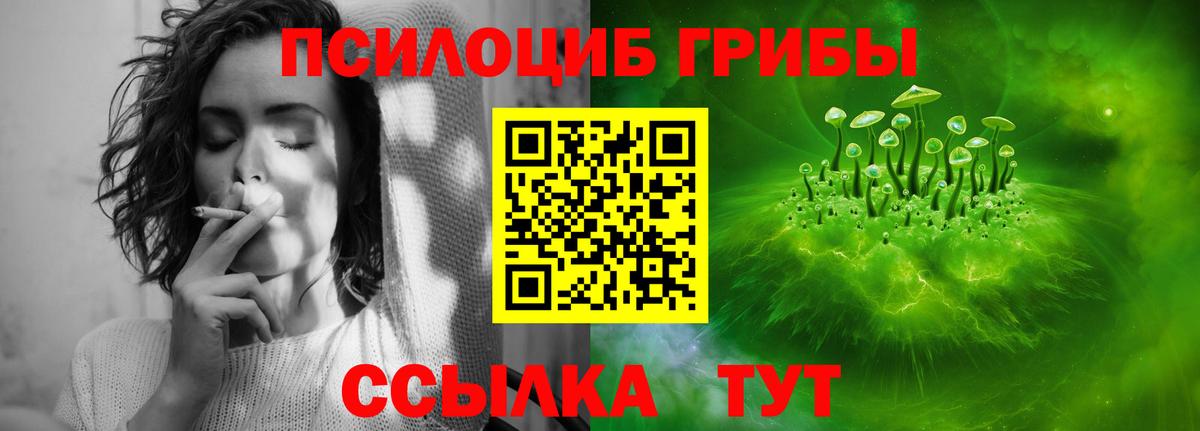 Галлюциногенные грибы прущие грибы Лабытнанги
